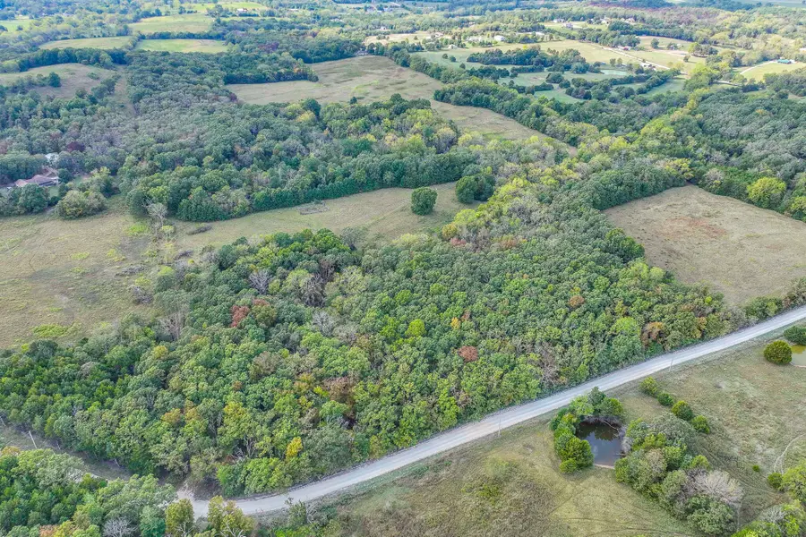 S21t30r19 White Clover Road, Strafford, MO 65757 - Image #2
