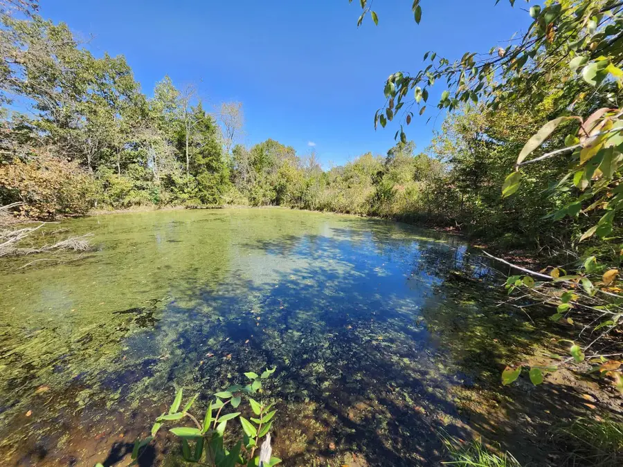 Tbd Bullfrog Road, Highway E, Norwood, MO 65717 - Image #3