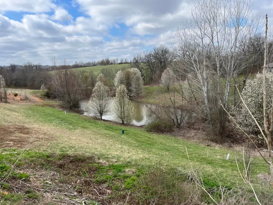 843 S Black Sands Avenue #Lot 115, Nixa, MO 65714 - Image #2