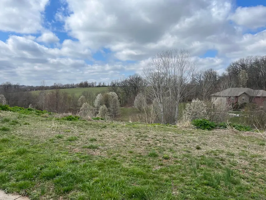 843 S Black Sands Avenue #Lot 115, Nixa, MO 65714 - Image #3