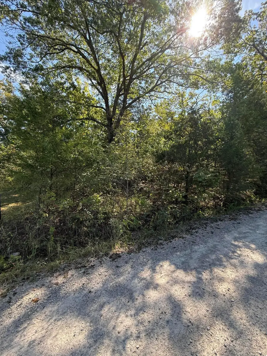Lot 1 Daisy Lane, Lampe, MO 65681 - Image #2