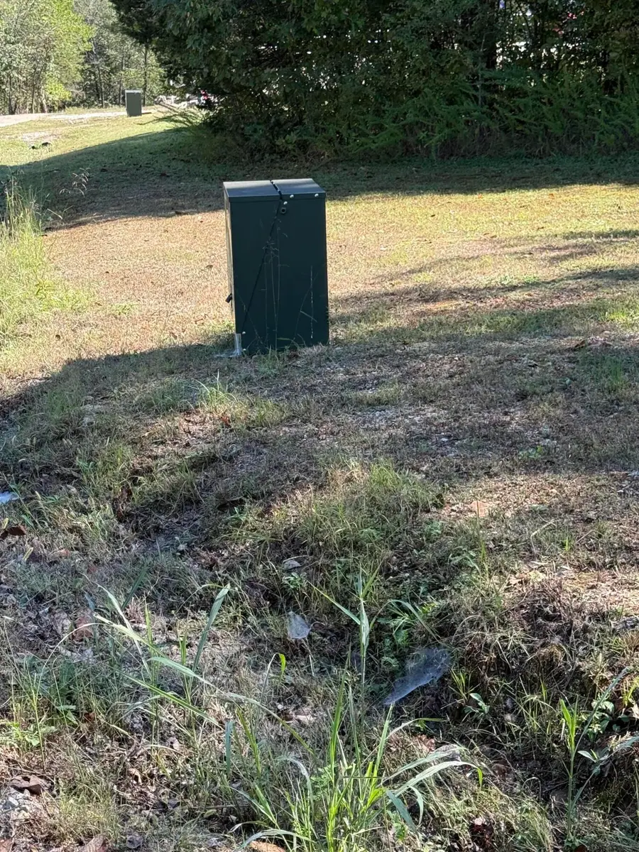 Lot 1 Daisy Lane, Lampe, MO 65681 - Image #3