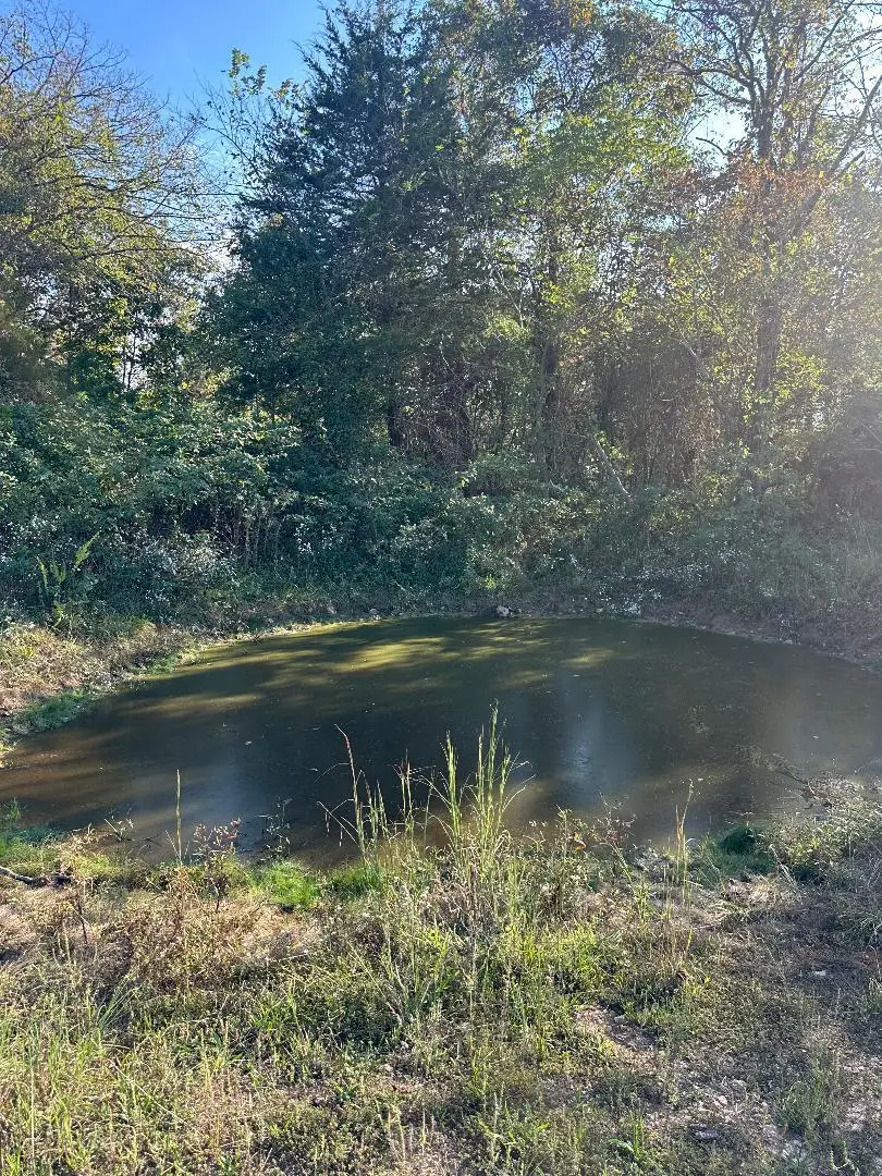 000 N Highway, Mountain Grove, MO 65711 - Image #1