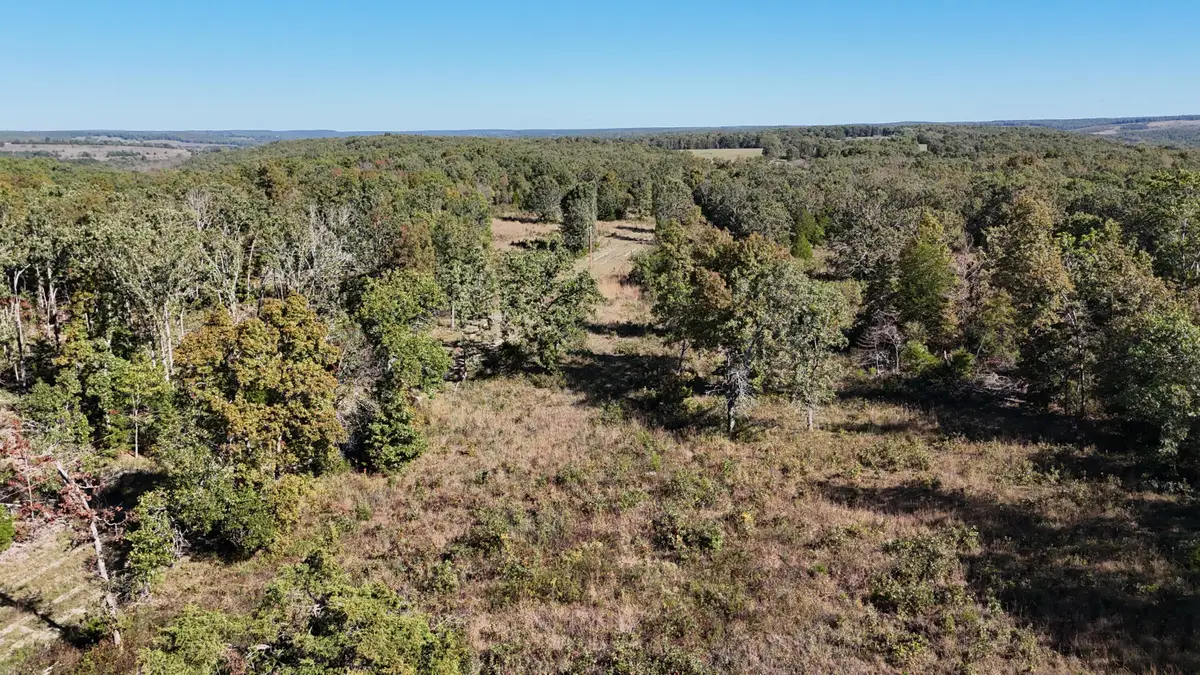 000 Stone Ridge Rd Tract B, Huggins, MO 65484 - Image #1