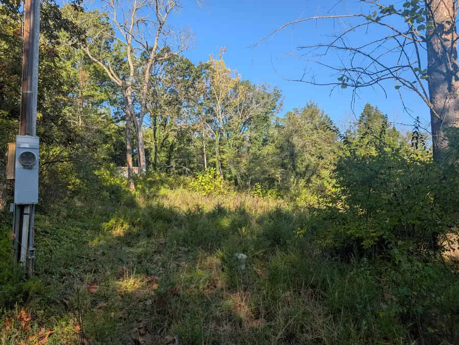 19,20,21 Turkey Mtn. Estates #2, Shell Knob, MO 65747 - Image #2