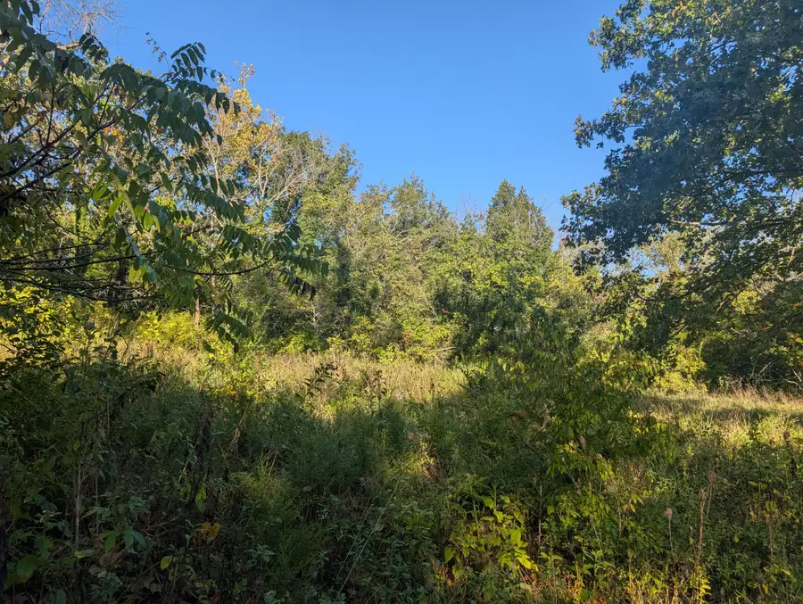 19,20,21 Turkey Mtn. Estates #2, Shell Knob, MO 65747 - Image #3