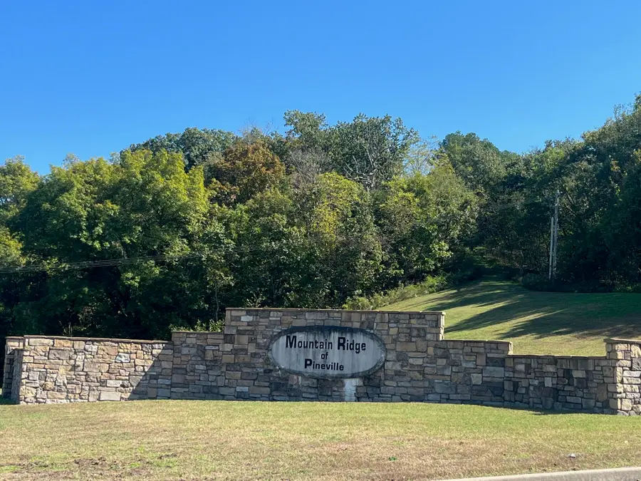 000 Mountain Ridge Drive, Noel, MO 64854 - Image #3