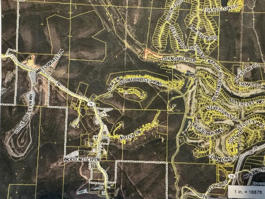 000 Baldknobber -1.25+/- Acres Drive, Reeds Spring, MO 65737 - Image #3