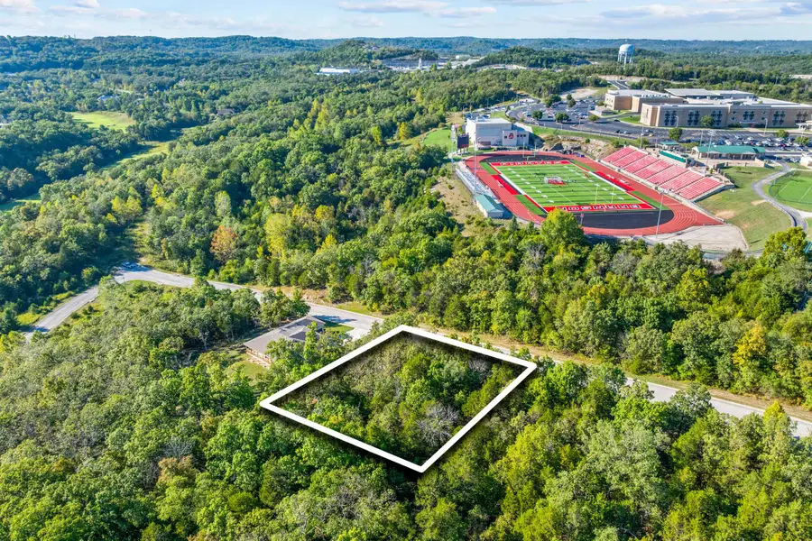 Lot 29 Pinehurst Drive, Branson, MO 65616 - Image #2