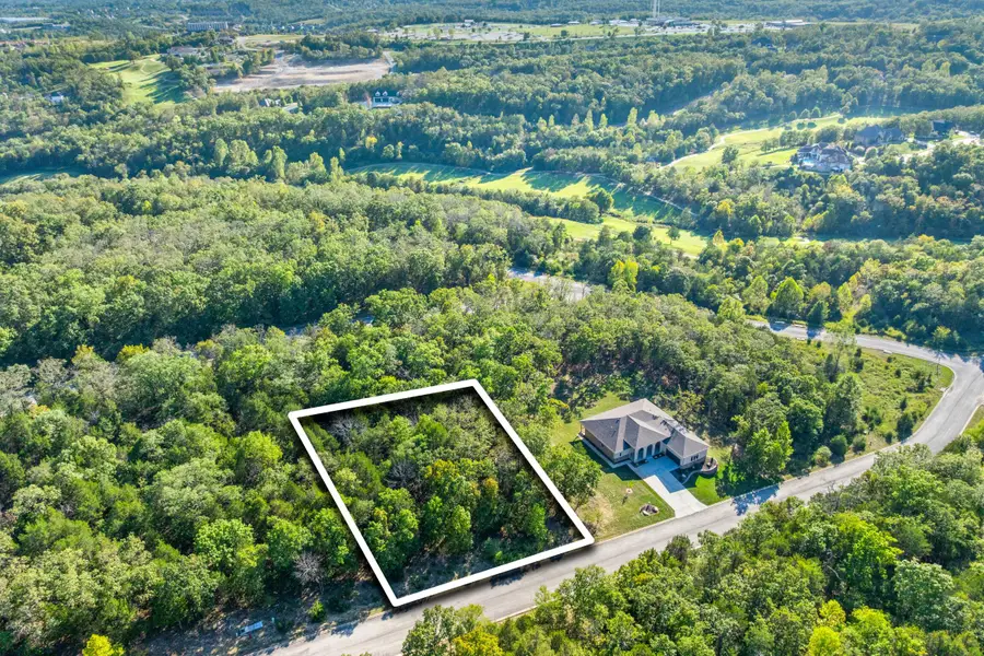 Lot 29 Pinehurst Drive, Branson, MO 65616 - Image #3