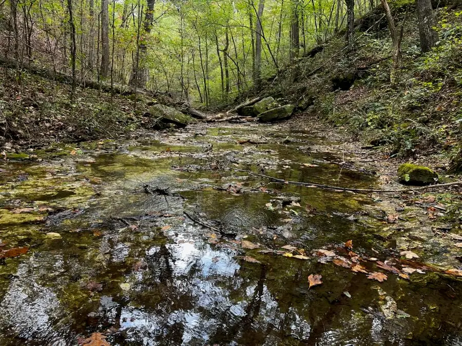 34771 Mo-14, Ava, MO 65608 - Image #3