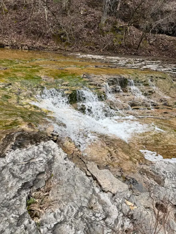 000 Skyline Drive, Bradleyville, MO 65614