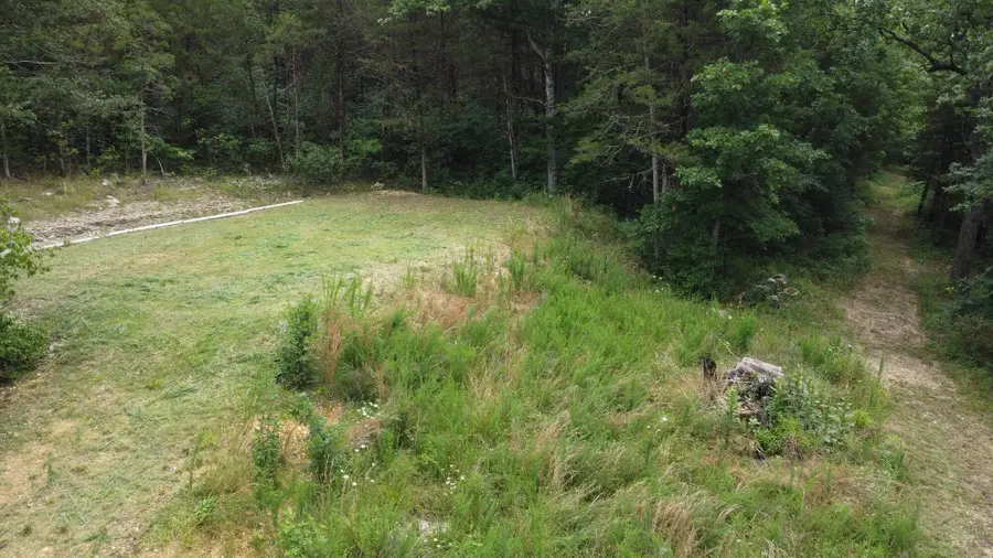 11 Daisy Lane, Lampe, MO 65681 - Image #2