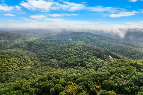 000 Pine Top Road, Hollister, MO 65672