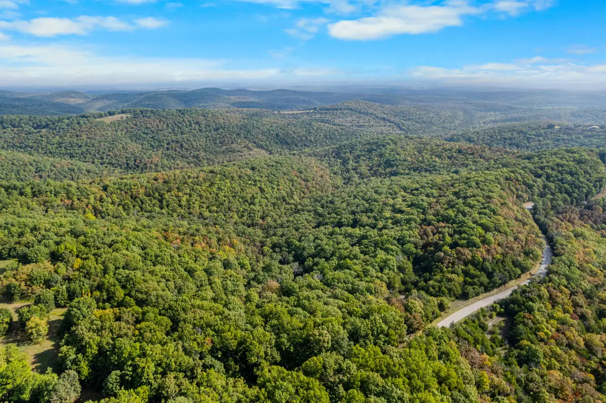 000 Pine Top Road, Hollister, MO 65672 - Image #1