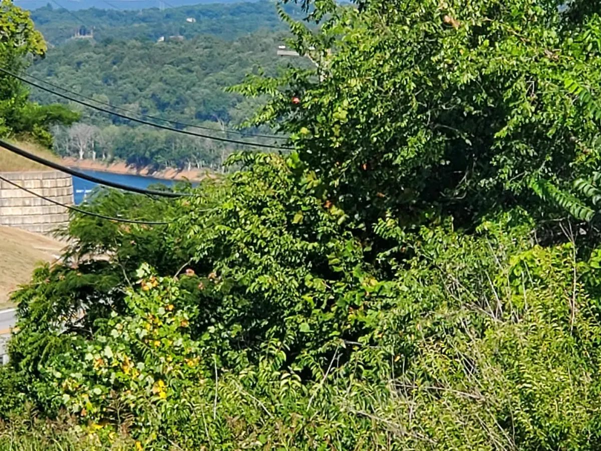 16500 State Hwy 160 Highway, Forsyth, MO 65653 - Image #1