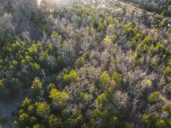 000 Sargent Road, Cabool, MO 65689