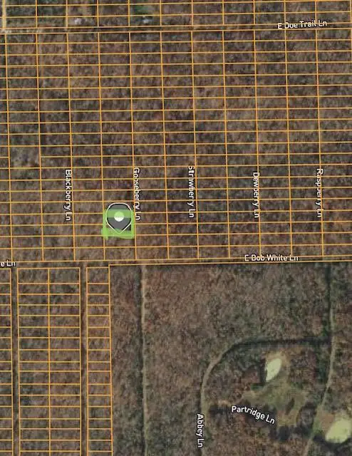 1307-1309 Gooseberry Lane, Horseshoe Bend, AR 72512 - Image #1