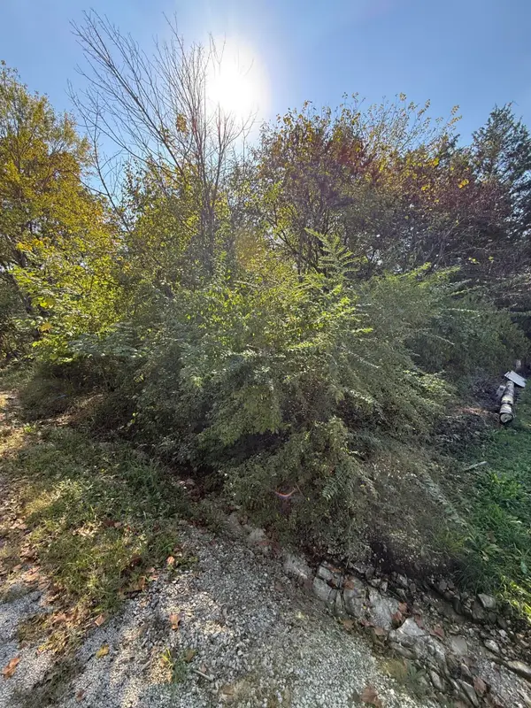 Tbd 3rd Street, Forsyth, MO 65653