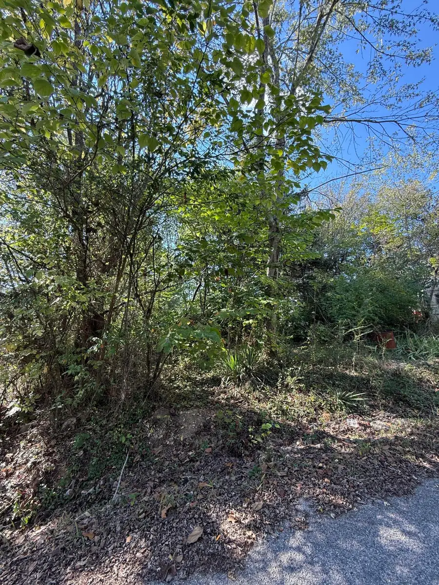 Tbd 3rd Street, Forsyth, MO 65653 - #2