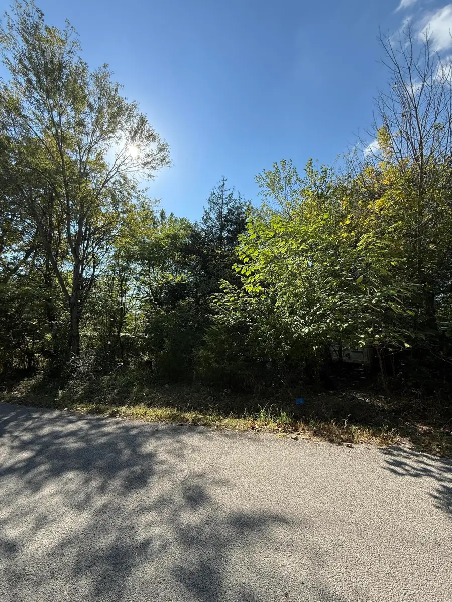 Tbd 3rd Street, Forsyth, MO 65653 - #3