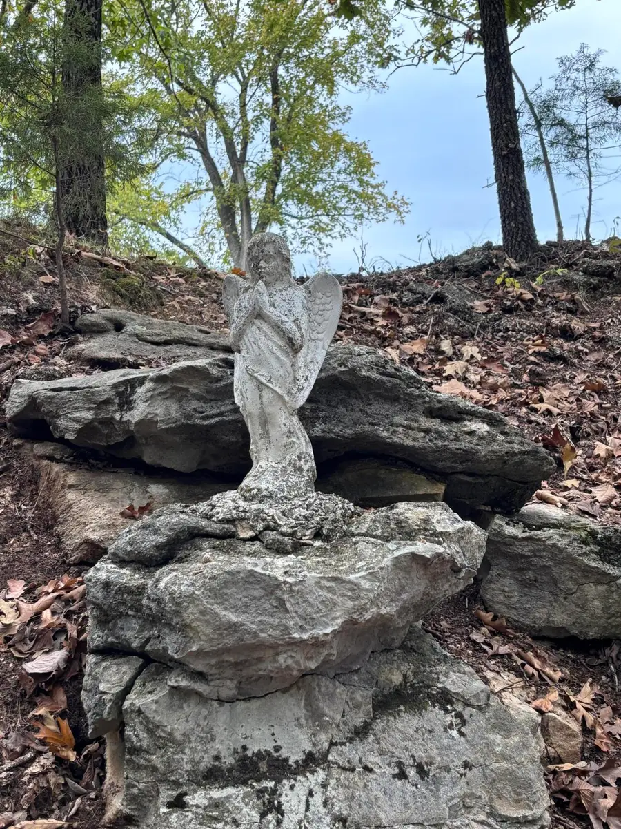 1814 State Hwy 125 S, Sparta, MO 65753 - Image #3