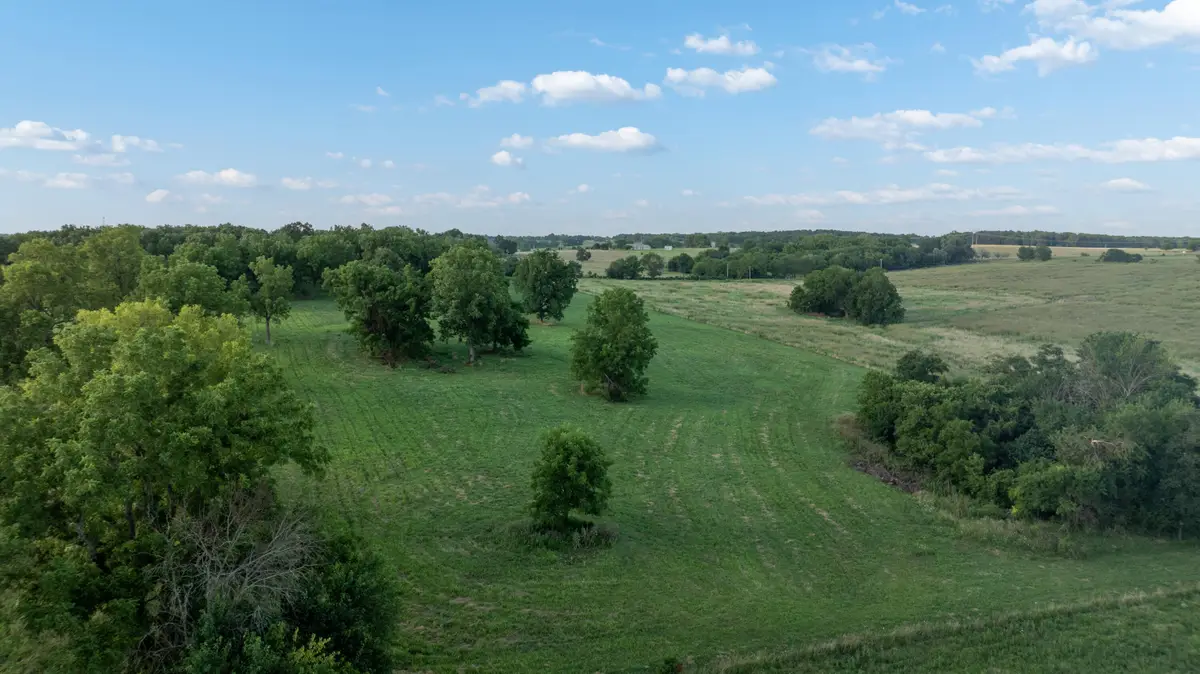 000 Highway Z, Everton, MO 65646 - Image #1