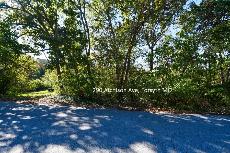 290 Atchison Avenue, Forsyth, MO 65653 - Image #2