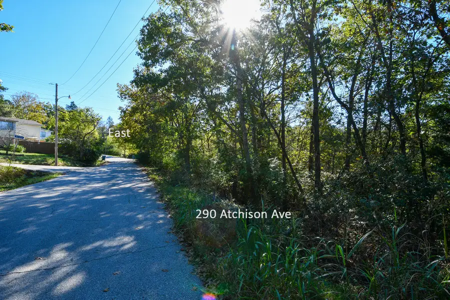 290 Atchison Avenue, Forsyth, MO 65653 - Image #3