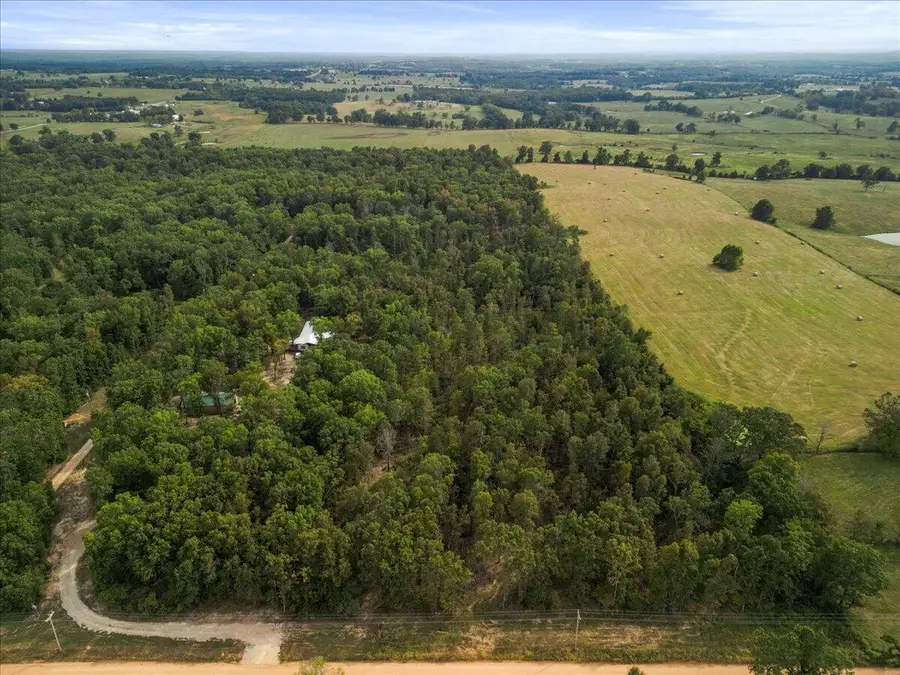 000 County Road 181-356 #Tract A, Dora, MO 65637 - Image #3