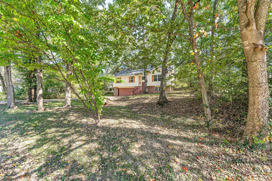 5644 S Honeysuckle Lane, Battlefield, MO 65619 - Image #3