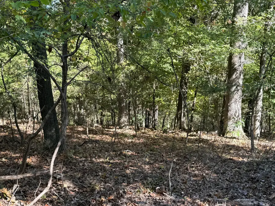 000 Farm Road 1263, Golden, MO 65658 - Image #2