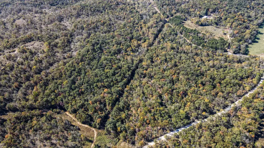 125 Homehills Lane, Gainesville, MO 65655 - Image #2