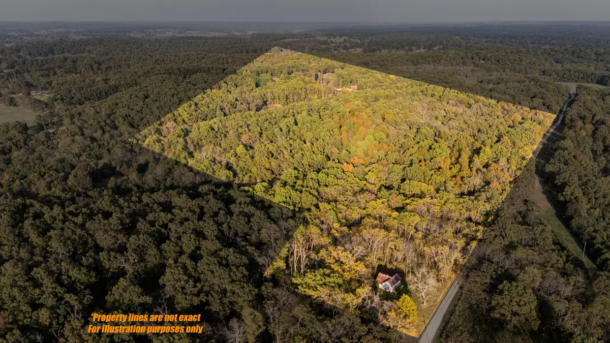 1251 County Road 7550, Pottersville, MO 65790 - Image #1