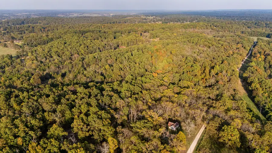 1251 County Road 7550, Pottersville, MO 65790 - Image #3