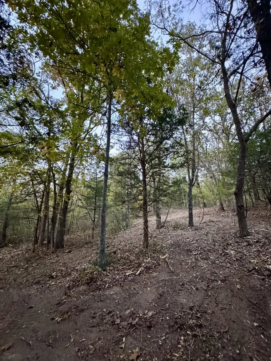 000 County Road 110, Mansfield, MO 65704 - Image #3