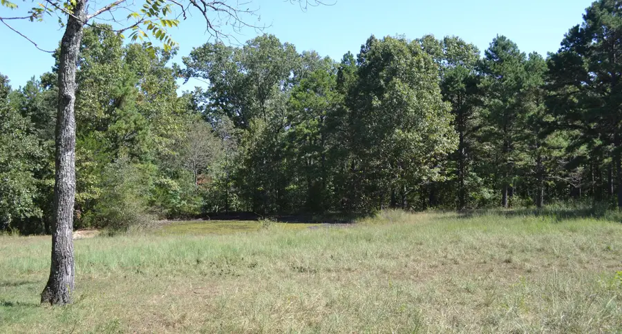 000 000 Hwy 14, Ava, MO 65608 - Image #3