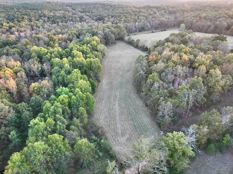 000 County Road 160, Fremont, MO 63941 - Image #2