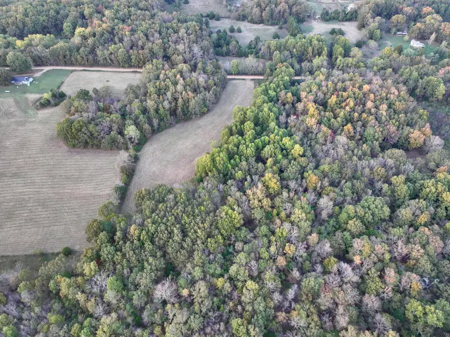 000 County Road 160, Fremont, MO 63941 - Image #3