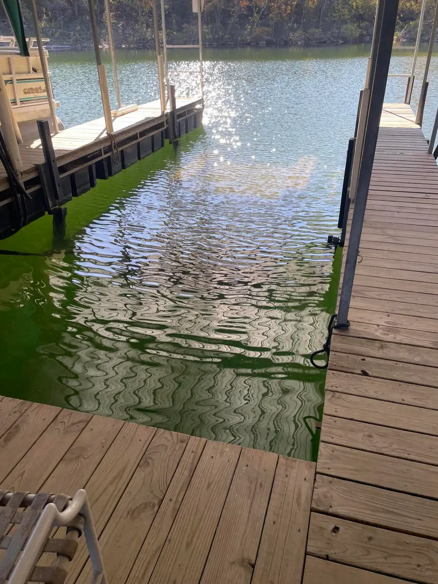 97 Sparrow Lane, Shell Knob, MO 65747 - Image #2