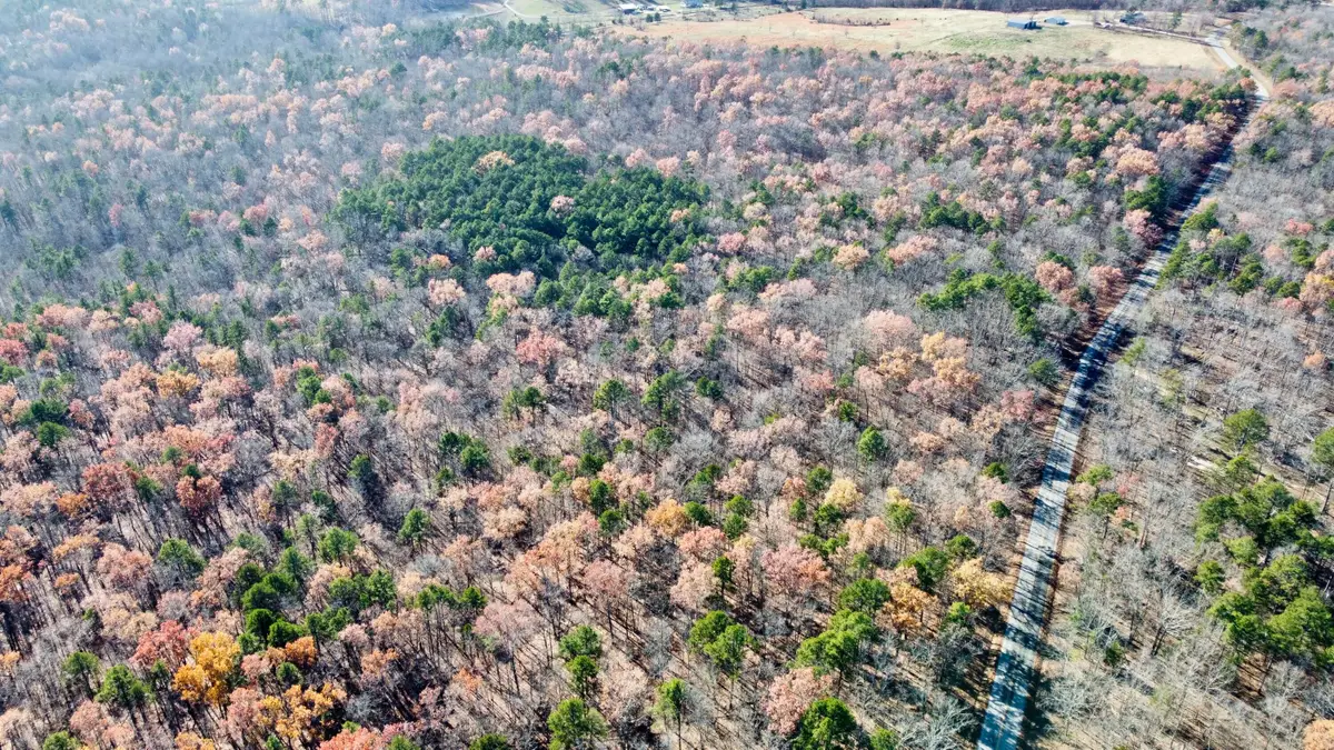 000 Highway H, Jackson, MO 63937 - Image #1