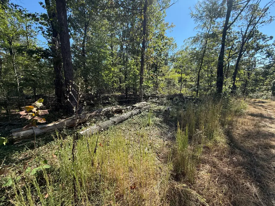 Lot #4 Builders Ln, Anderson, MO 64831 - Image #2