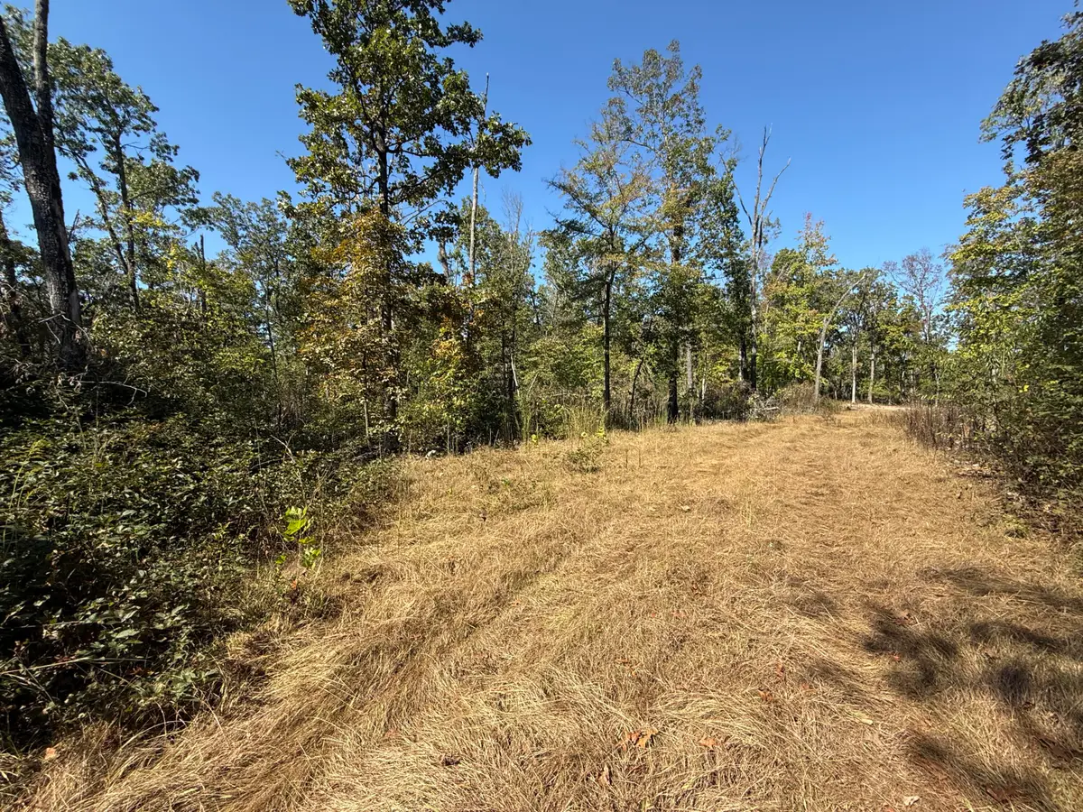 Lot #5 Builders Ln, Anderson, MO 64831 - Image #1