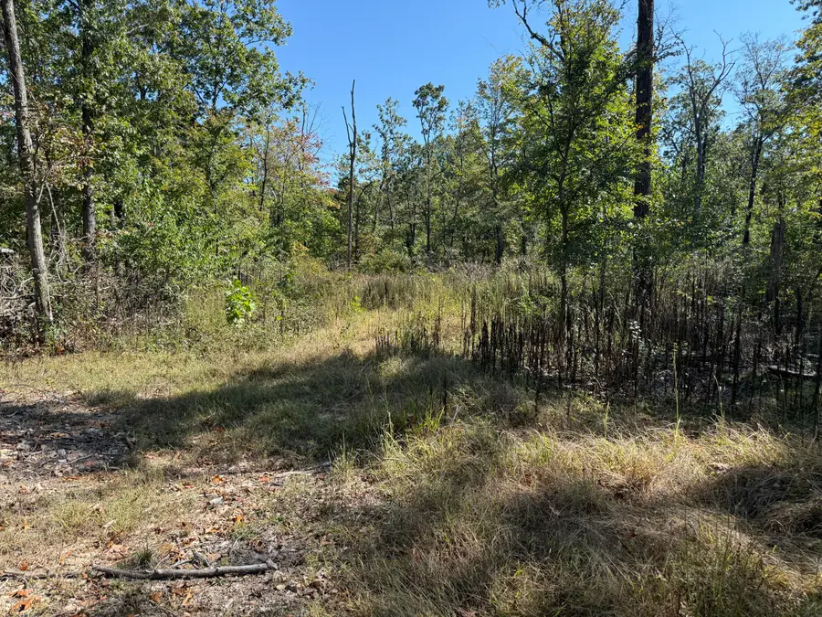 Lot #6 Builders Ln, Anderson, MO 64831 - Image #3