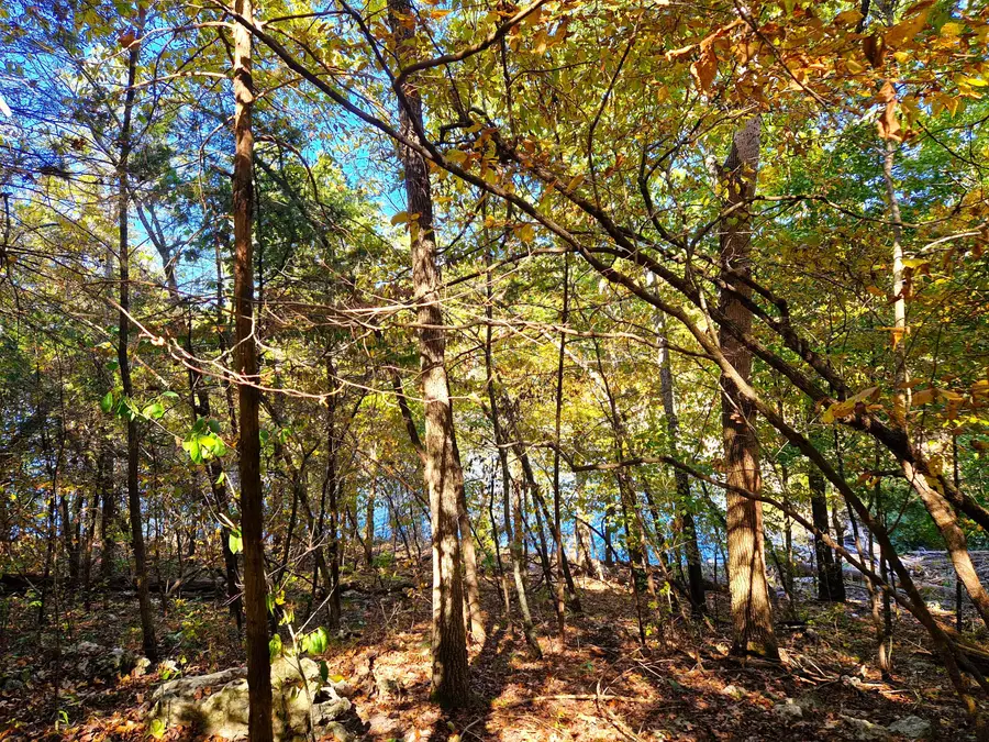 Lot 11 Newton Road, Ridgedale, MO 65739 - Image #3