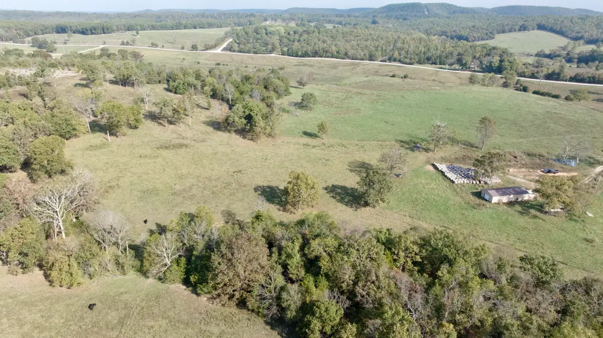 000 Hwy 125, Bradleyville, MO 65614 - Image #1