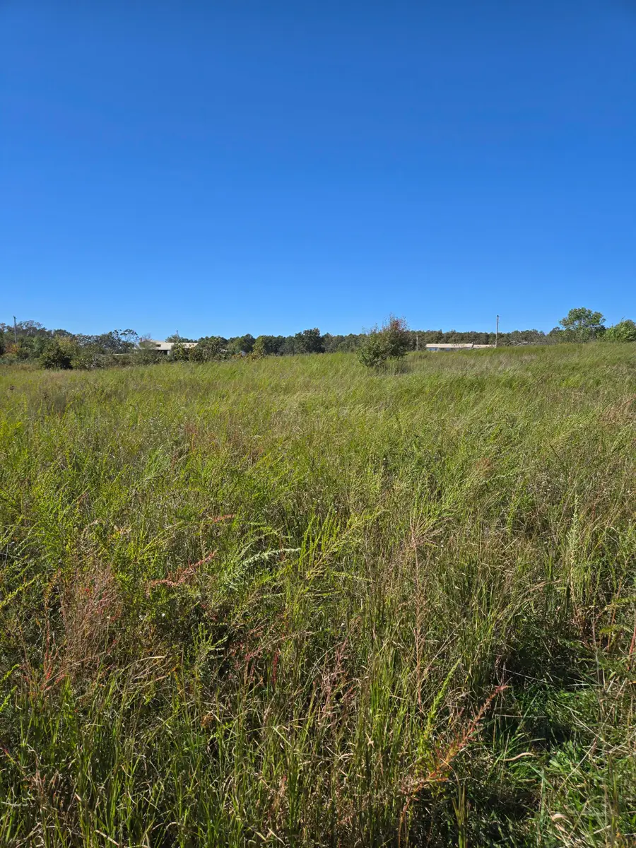 000 County Road 455, Birch Tree, MO 65438 - Image #3