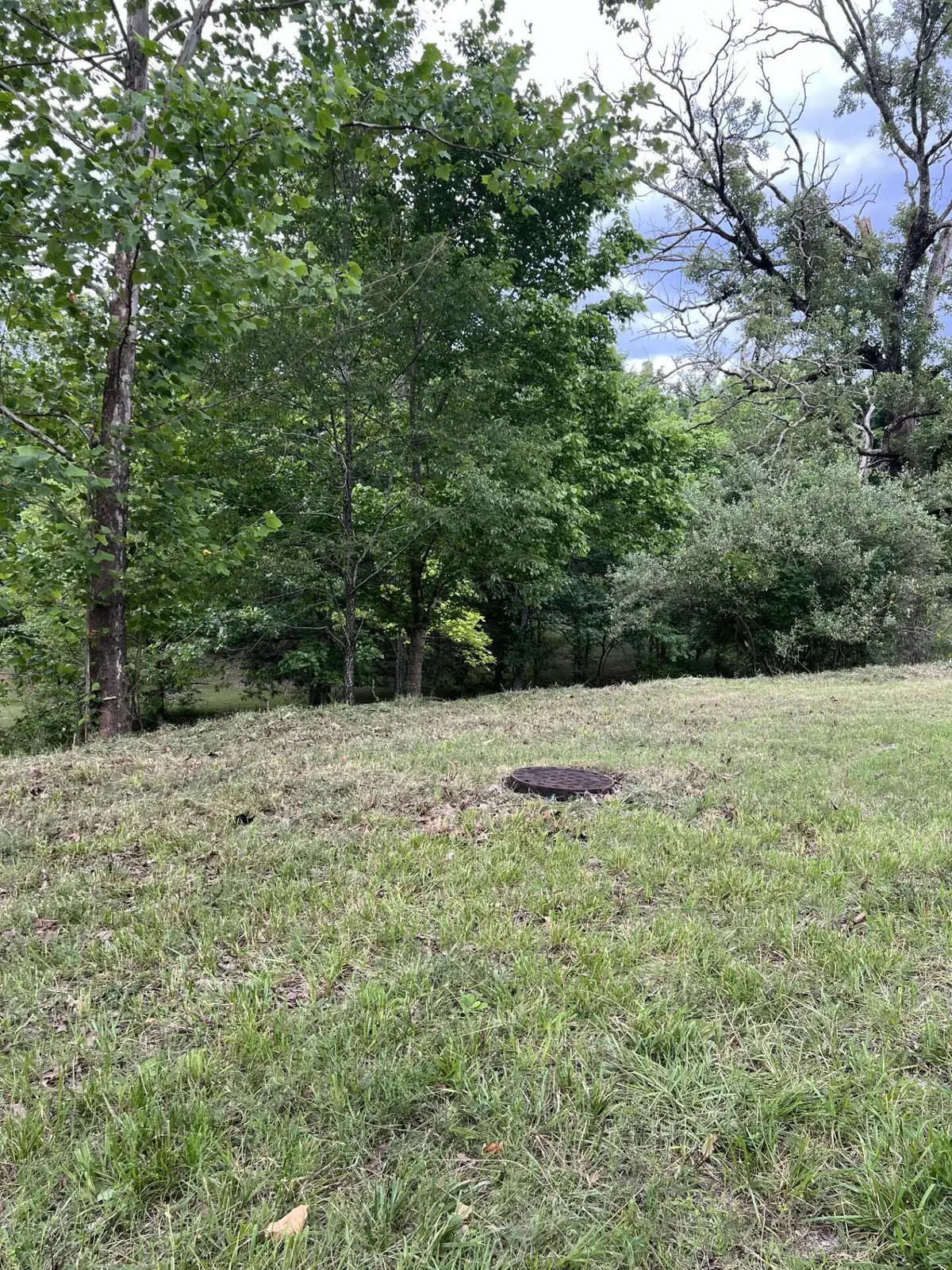 000 Vin Villa, Forsyth, MO 65653 - Image #1