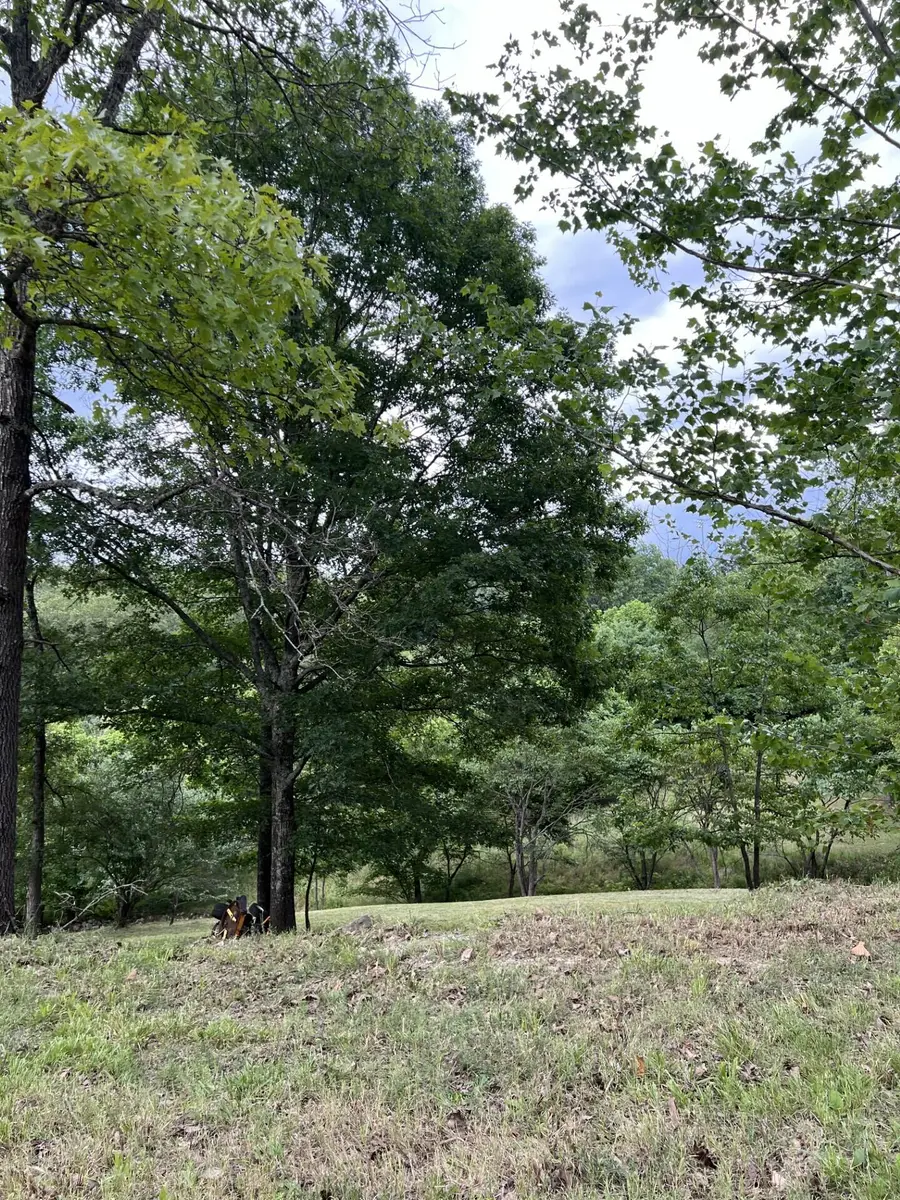 000 Vin Villa, Forsyth, MO 65653 - Image #2