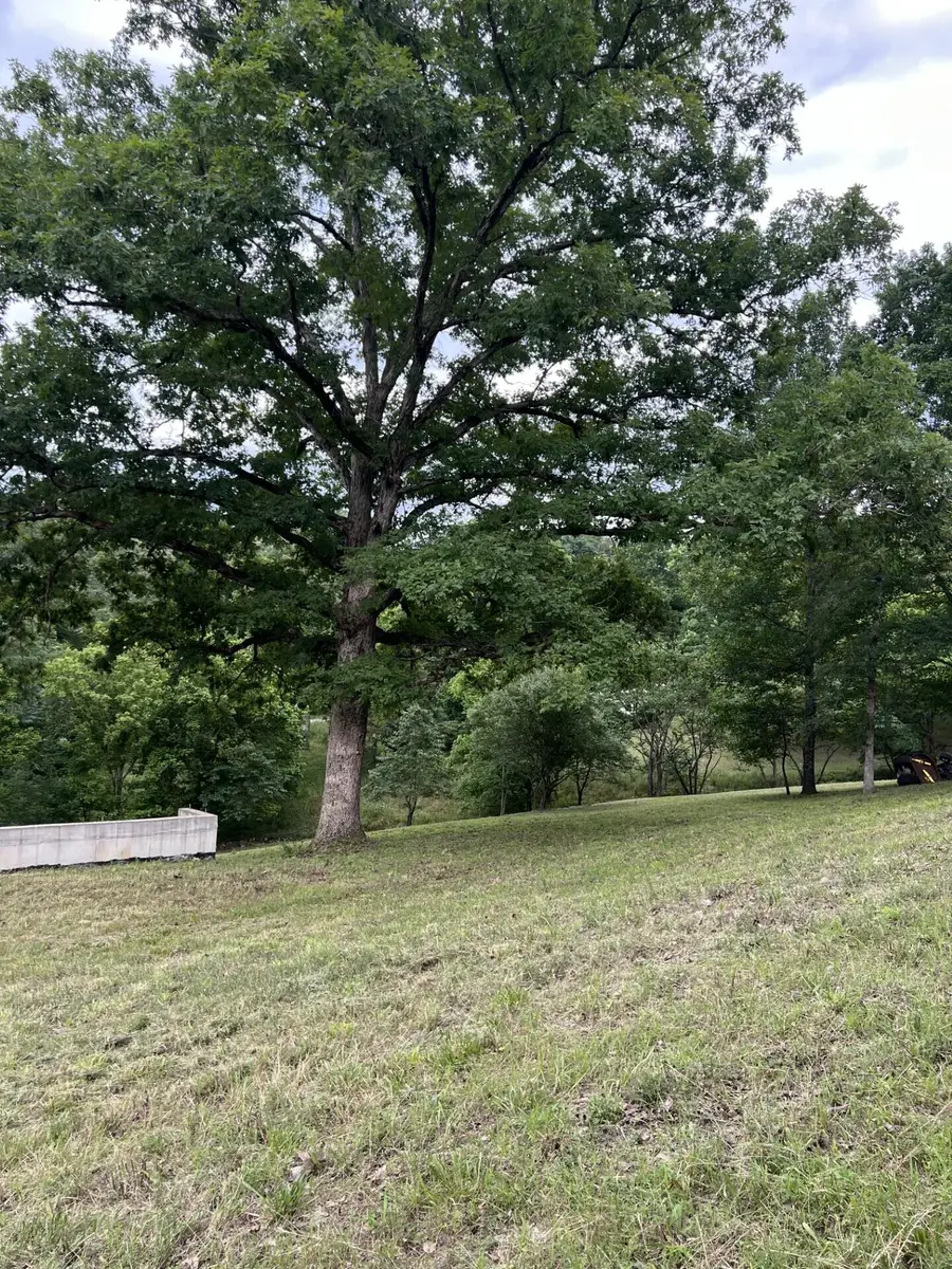 000 Vin Villa, Forsyth, MO 65653 - Image #3